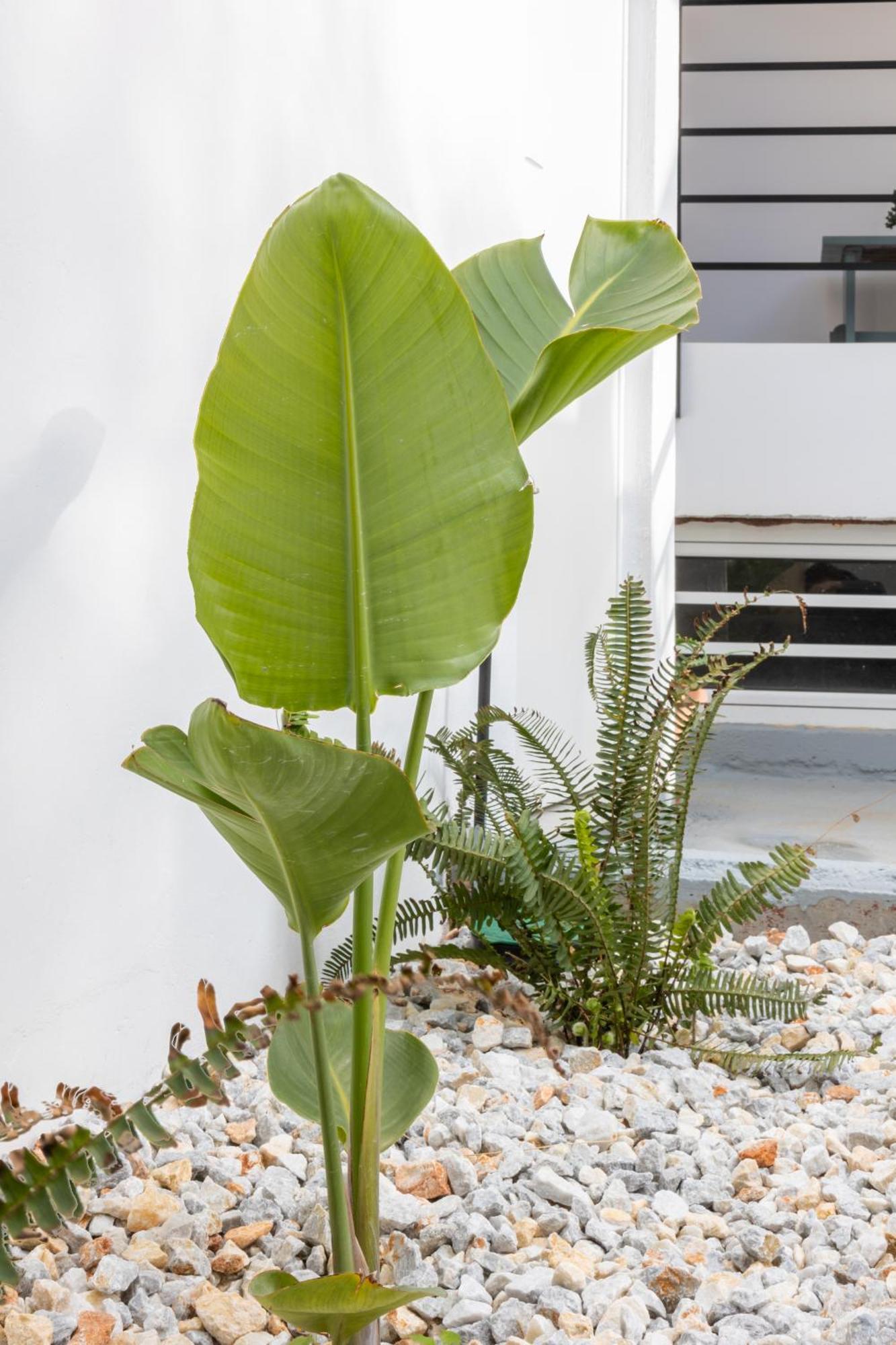 Garden Luxury Apartment Heraclión Exterior foto